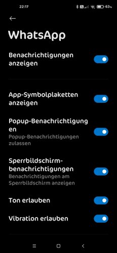 Screenshot_2020-09-09-22-17-39-088_com.android.settings.jpg